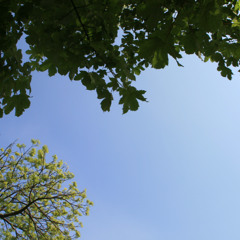 Sound collage practice