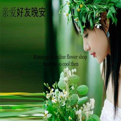 0.3% of the internet is made up of online florists 網路的 0.3% 由網路花店組成