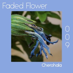 Faded Flower | 009