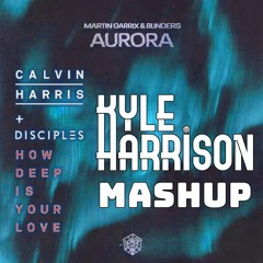 Martin Garrix & Blinders Vs Calvin Harris - Aurora Vs How Deep Is Your Love (Kyle Harrison Mashup)