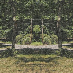 Whole Time (Prod. Underbyte)