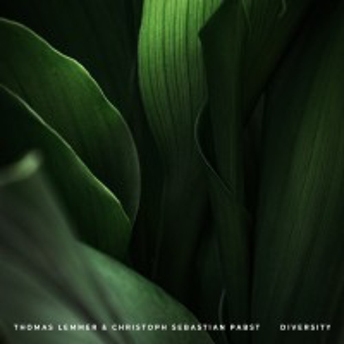 Thomas Lemmer & Christoph Sebastian Pabst - Diversity