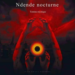 voyage nocturne feat Timmy Turner