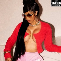 Wit The Shits (W.T.S)