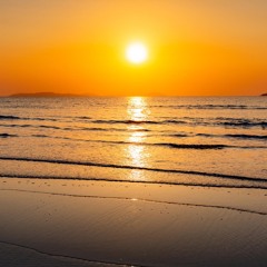 夏の不条理