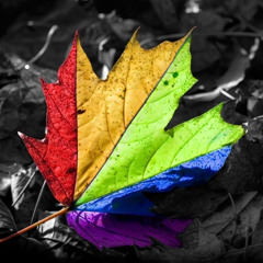 Stress Factor Podcast 330 - DJ B-12 - November 2025 Drum & Bass Studio Mix