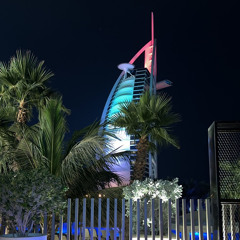 دار زايد | يارا