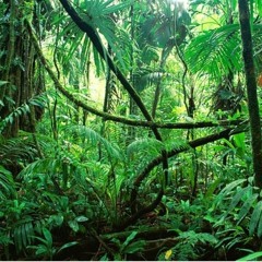 SETS jungle • hip hop • dancehall