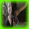 Download Video: --- Forest ---