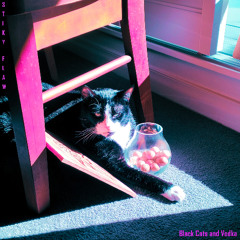 Black Cats and Vodka