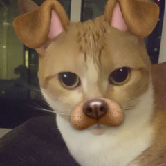 sticki - get me outta here (nebbula)