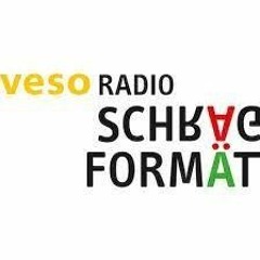 VESO Radio Schrägformat: Vorurteile und Stigmatisierung 07.03.2024