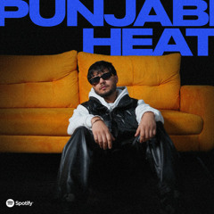 Punjabi Heat