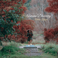 Autumn Discovery