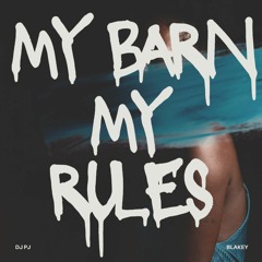 My Barn My Rules remix