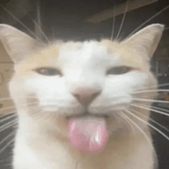 goofy
