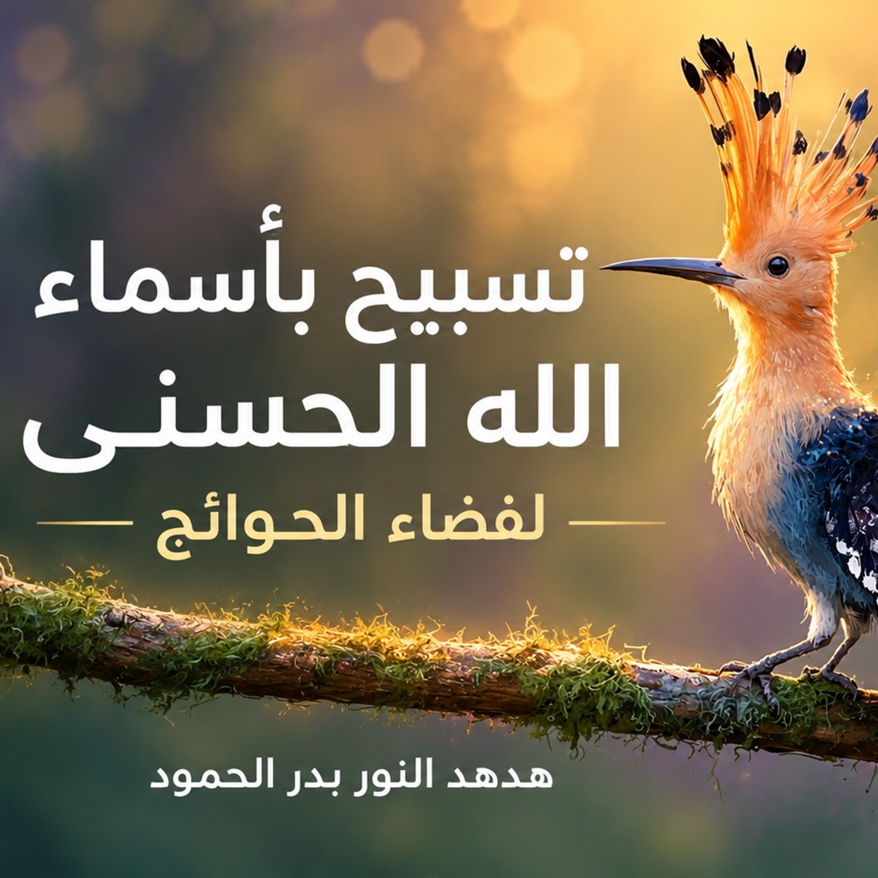تسبيح بأسماء الله الحسنى لقضاء الحوائج وتفريج الكرب