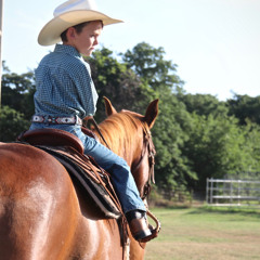 Back on the Horse (WIP)