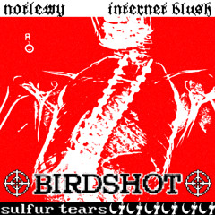 notlewy X internet blush - BIRDSHOT [SULFUR TEARS MIXTAPE]