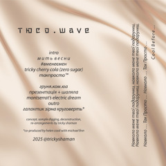 trickyshaman - т ю с о . w a v e (Side B)
