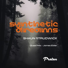 Synthetic Dreams 024 // Shaun Strudwick