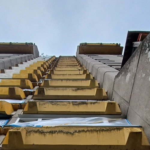 Manality 1: Lazdynai