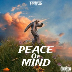 PEACE OF MIND(afro-amapiano)2024