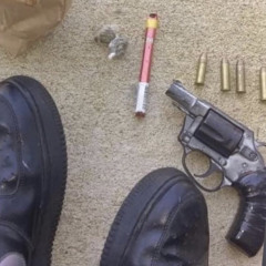 TNL - Mal SaVv x Gbaby NoLakkin x AceG x Hoe Glo