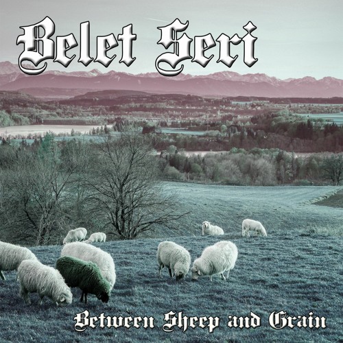 Between Sheep And Grain