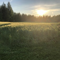 Tracks of summer 2025 mix