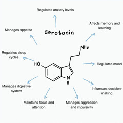 SEROTONIN