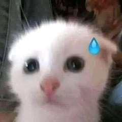 24/09/24