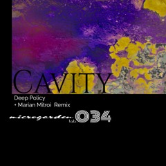 PREMIERE: Deep Policy - Cavity (Marian Mitroi Remix)