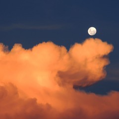 Pepe Moore - Moon Valley (Original Mix)