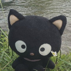 🐈‍⬛🐈‍⬛🐈‍⬛