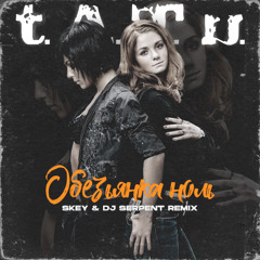 t.A.T.u. - Обезьянка ноль (Skey & DJ Serpent Remix)