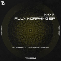 Dokker - Radiant Code (DIT ZY Remix) [Tzunami]