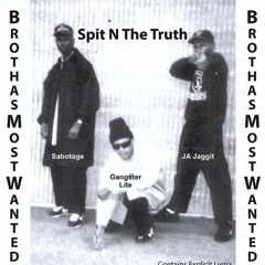 Brothas Most Wanted - Freaks & Hoes