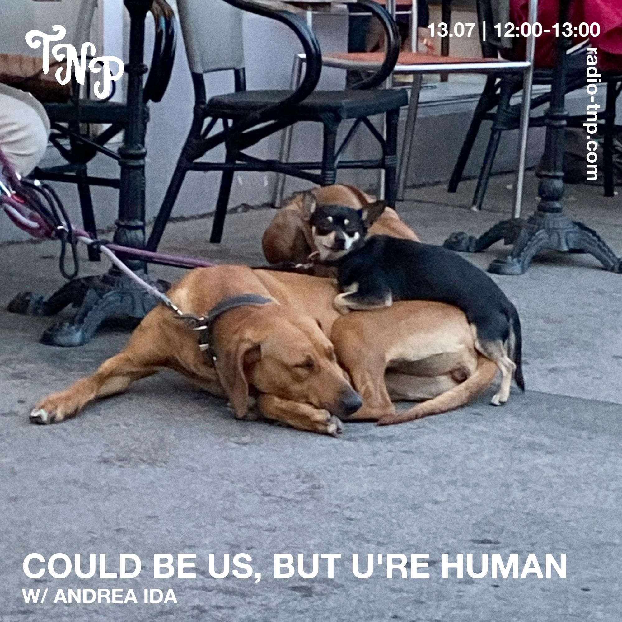 Could be us, but u're human w/ Andrea Ida
