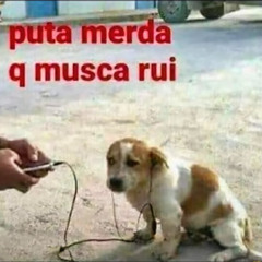 i am sorry for all the bad things i've done