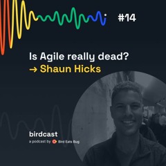 Episode 14. Is Agile really dead?