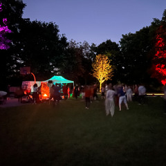 Antarius @ Ecstatic Dance Bamberg Summerset OpenAir