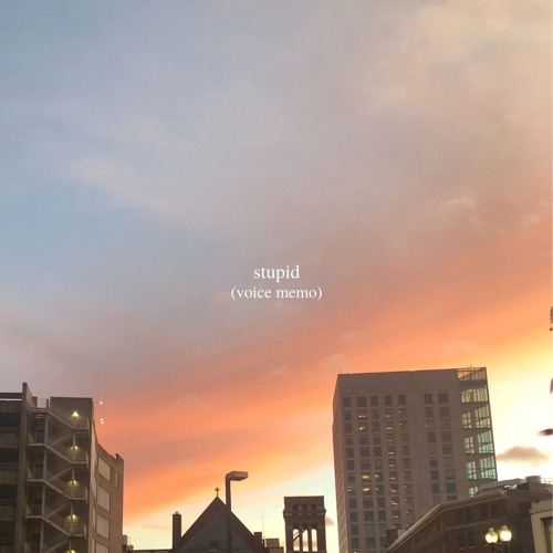 stupid (voice memo)