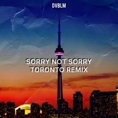 Sorry not sorry remix