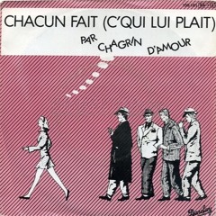CHACUN FAIT CE QU'IL LUI PLAIT - BRUNO's funky edit