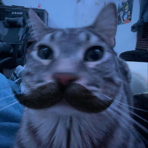 currently making music for some fangames so no posts