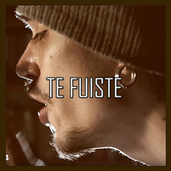 Te Fuiste