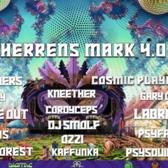 Herrens Mark 4.0 Dj set