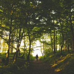 Somewhat Inspirational