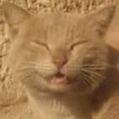 Save Your Tears - The Weekend (Guitar Cover)